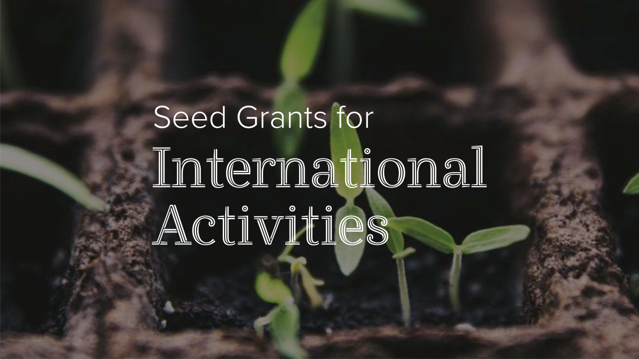 Seed Grants for International Activities text over a photo of seeds growing.