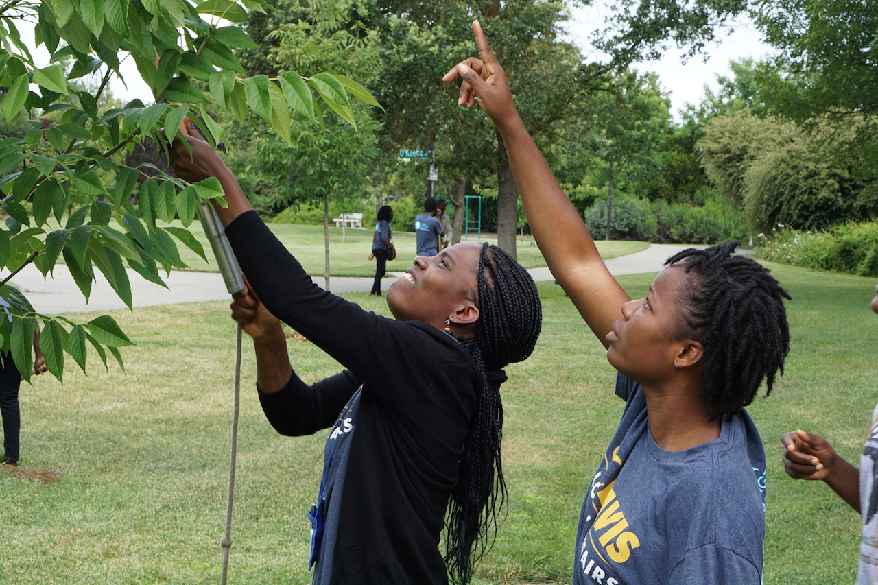 Gwendoline Singem Mambo and Afi Victorine trim trees along the Davis greenbelt