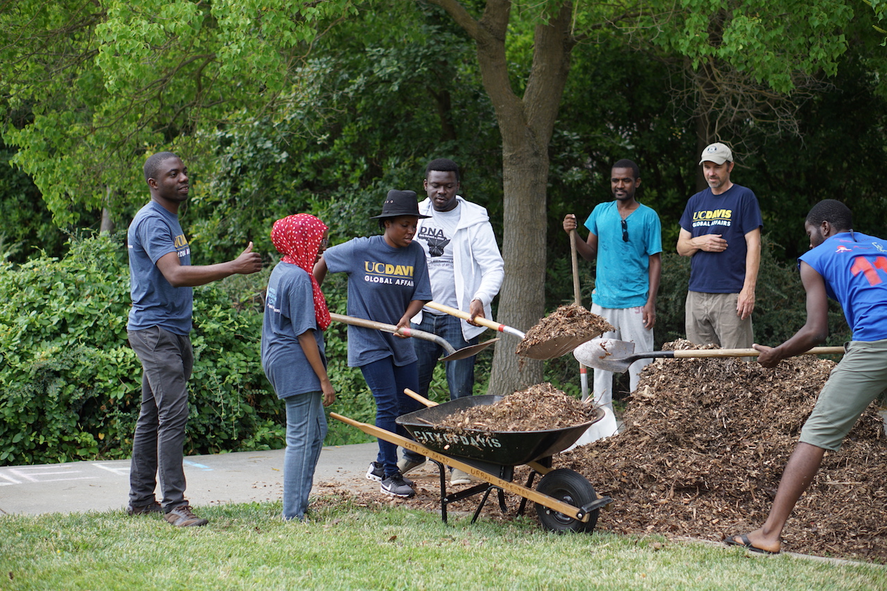 Likando Nabuyanda gives a sign of approval as his fellow MWF cohort beautifies trees along the Davis greenbelt