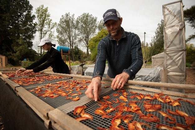 food-drying