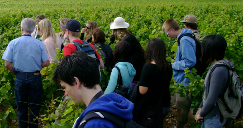 UC Davis students attending the Introduction to Wine Making study abroad program in Dijon, France. (Photo courtesy of UC Davis Study Abroad)