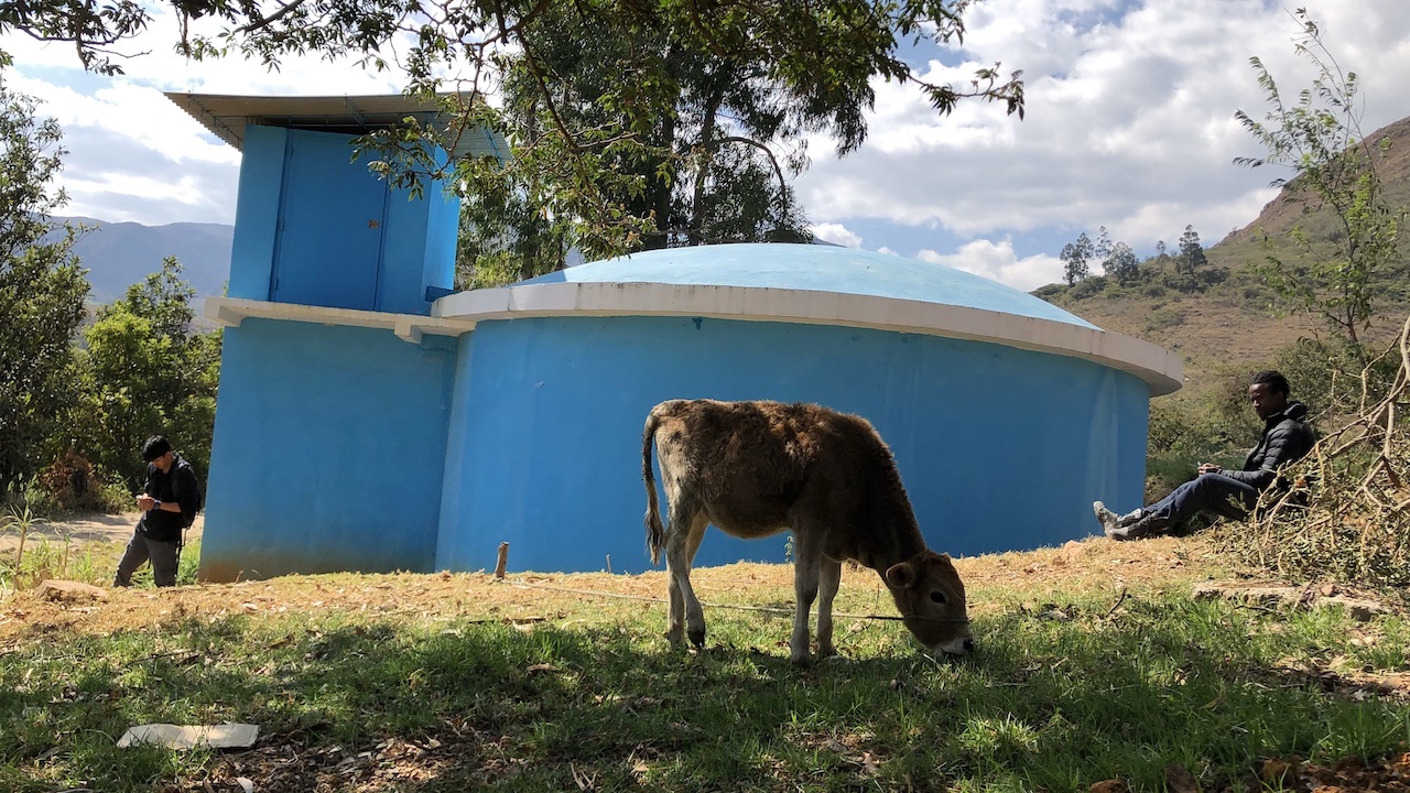 Picture of two students outside with cow