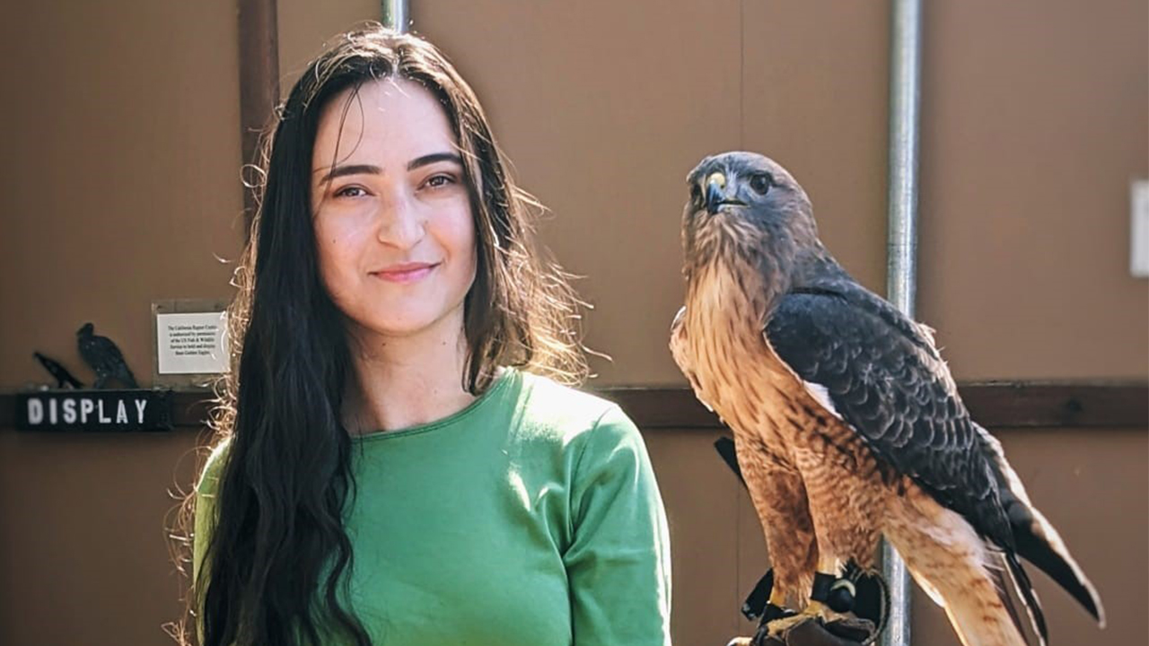 Khatia Basilashvili holds a hawk on her gloved left hand. Her long dark brown hair is worn down over her right shoulder and she wears a green T-shirt. The 