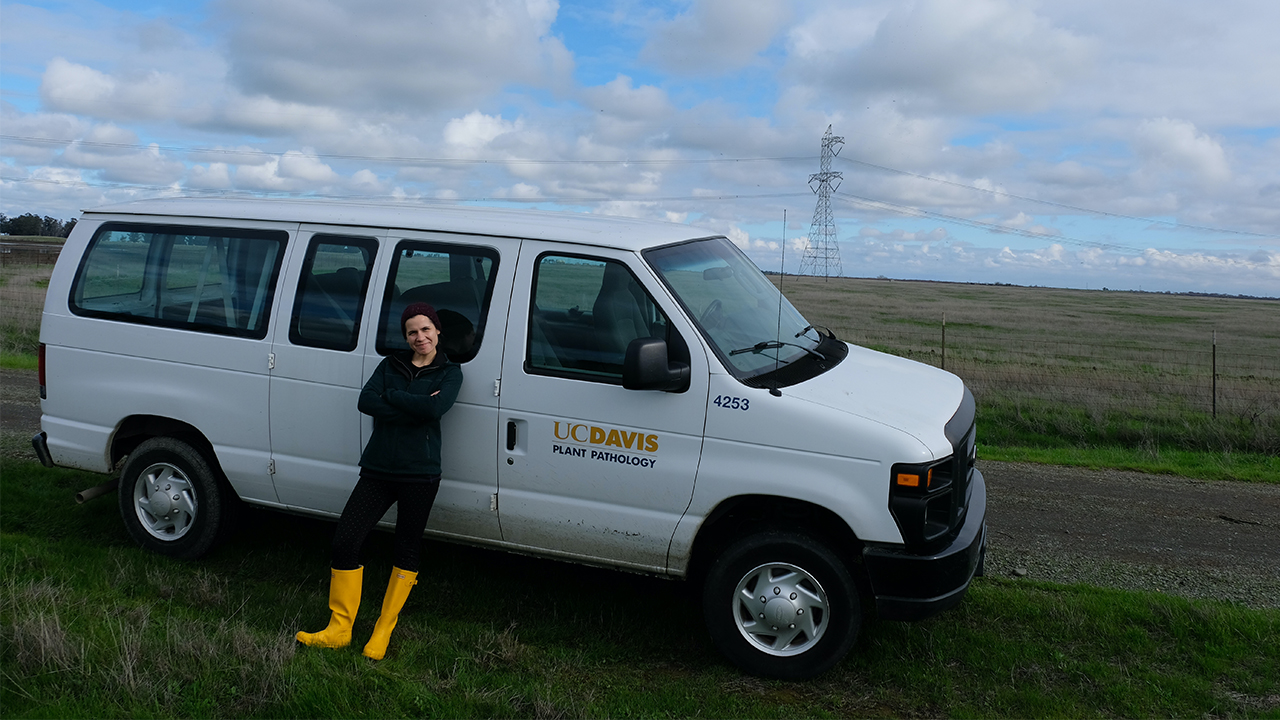 Lucie stands outside on a partly clouding day in front of a white van that say "UC Davis Plant Pathology Department" on the side. She wears yellow rainboots.