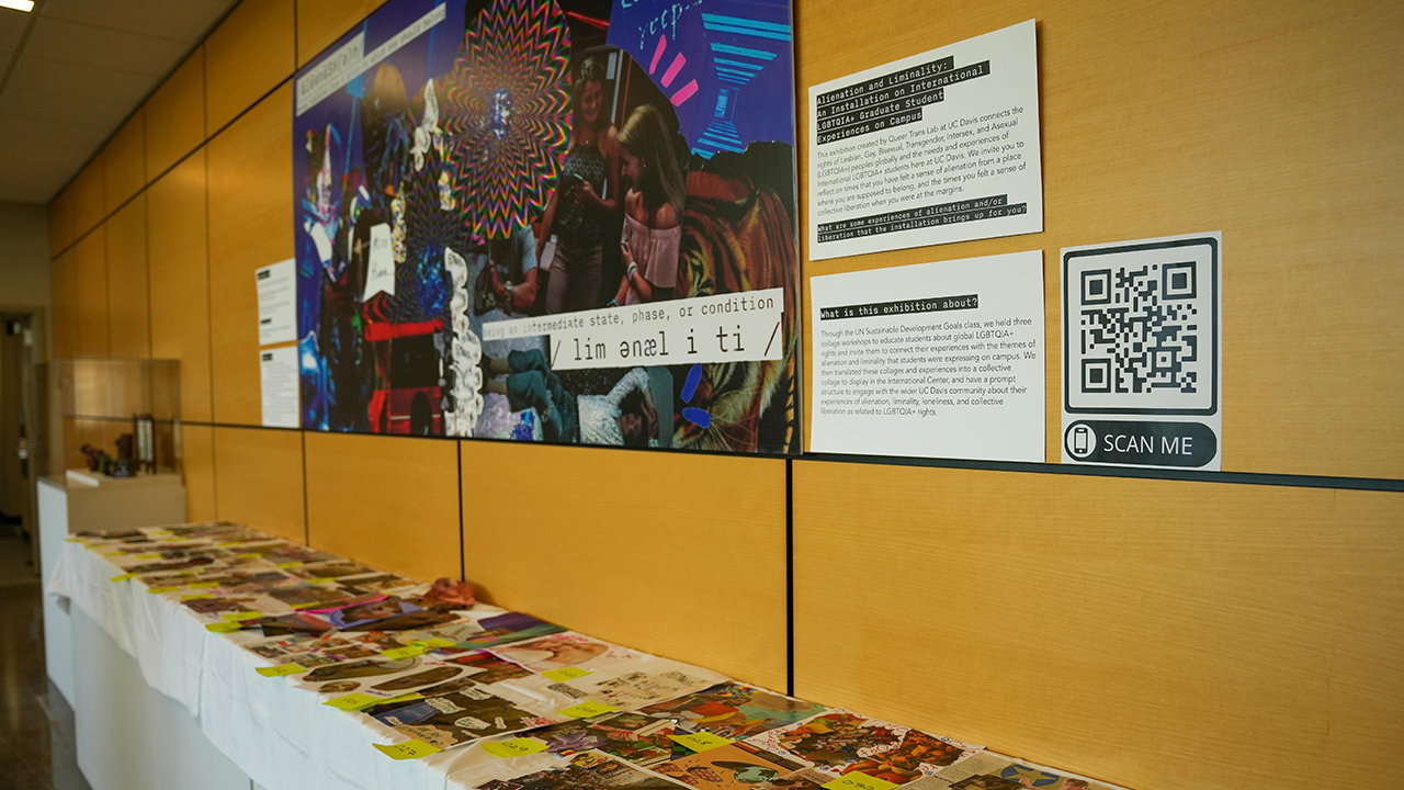 A long table sits against a wall. The table is filled with collages. Above the table on the wall hangs a large collage and signage about the exhibit.
