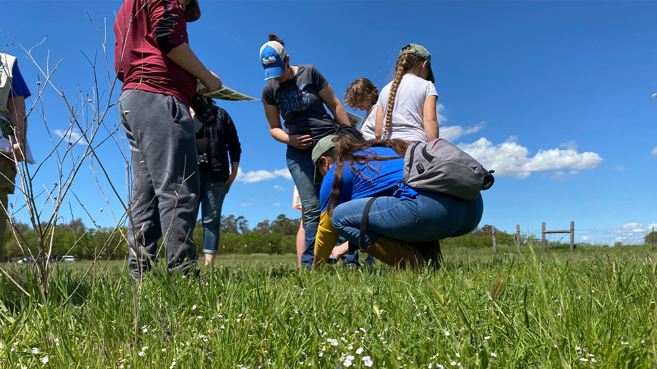 Volunteers gather in the green grass of the wetlands. One squats down to examine the ground as five other volunteers stand gathered around her. In the distance are trees and a wire fence, and above, the blue sky is scattered with small clouds.