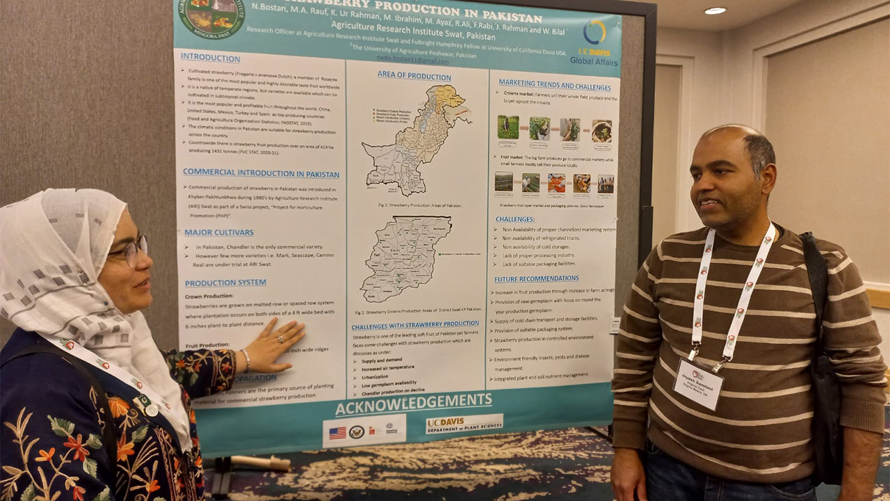 Nadia stands to the left speaking and gesturing to her large poster, which hangs on the wall in the middle. The poster includes blocks of text describing production systems and other information about strawberry production in Pakistan as well as two maps of Pakistan's areas of production and smaller photos of the product in market. Dr. Samtani stands on the right actively listening..
