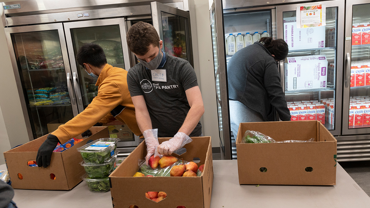 Three volunteers put perishable groceries away in large refrigerators at The Pantry. One volunteer on the left of the photos is in the middle of turning to the fridge behind him with a box containing citrus. The volunteer in the middle wearing an ASUCD The Pantry T-shirt is sorting apples. A volunteer on the right has turned their attention to the milk and dairy in another refrigerator. 