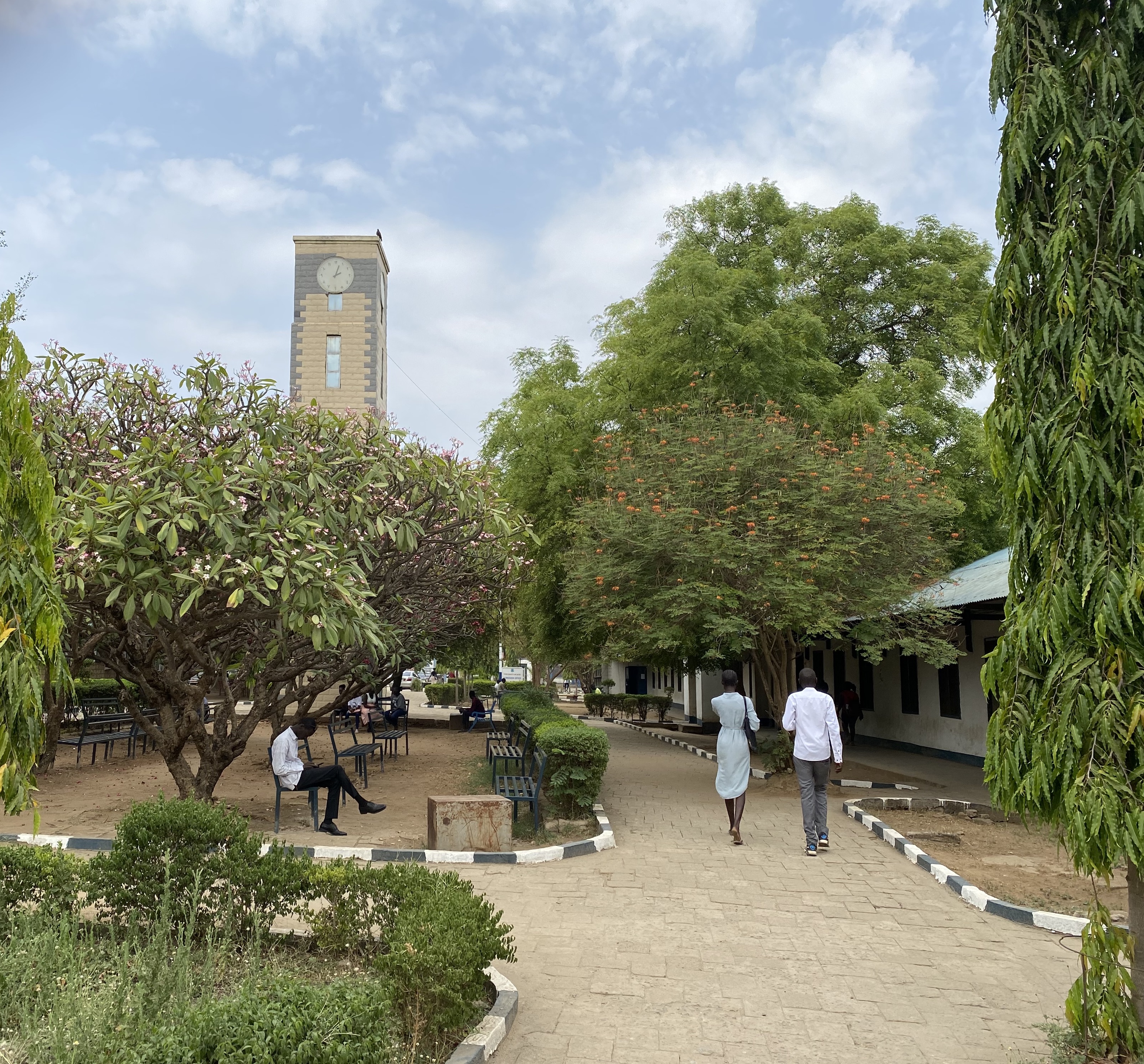 A walkway in a city surrounded by trees.