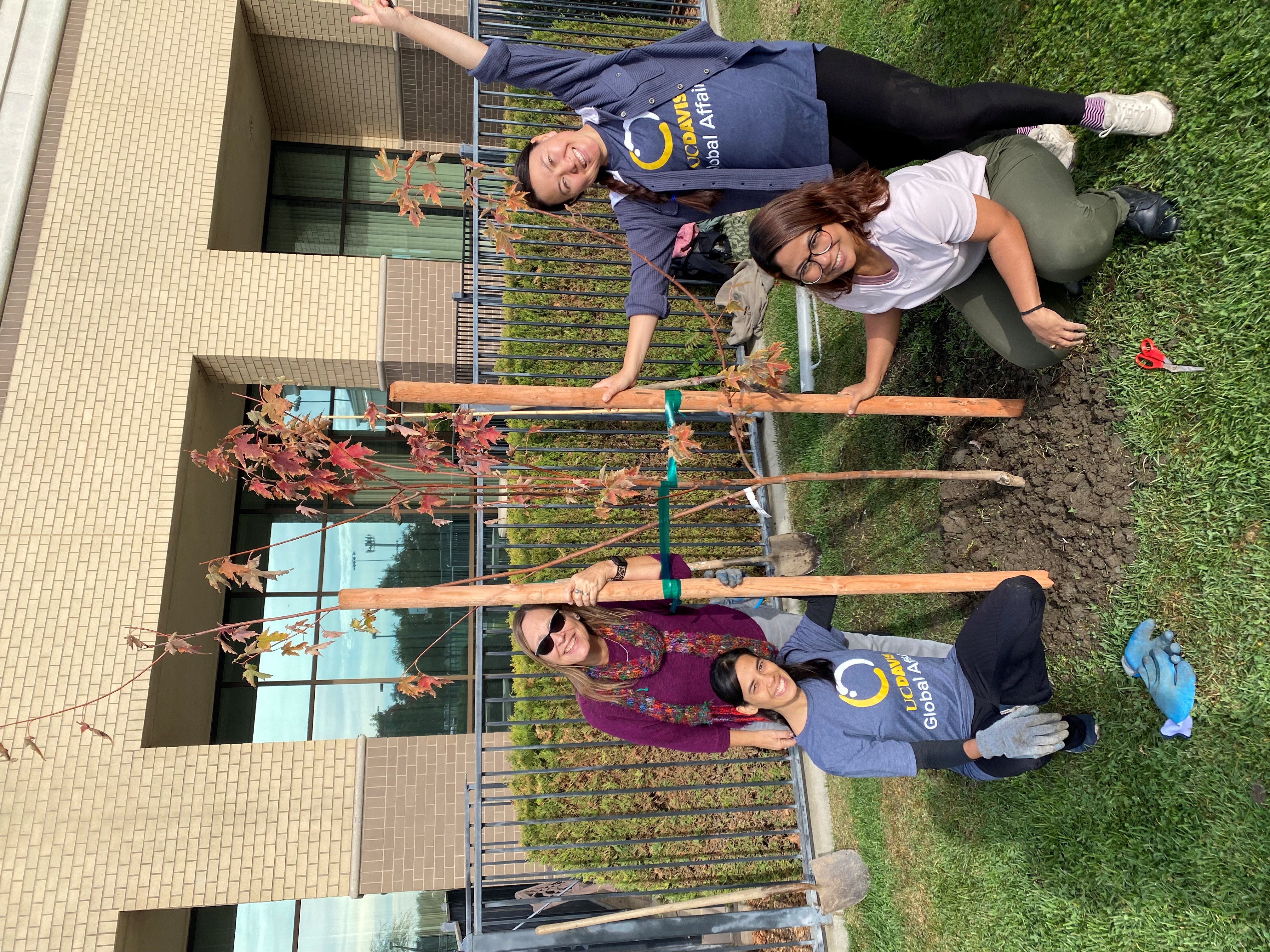 Four people stand around a just-planted baby tree.
