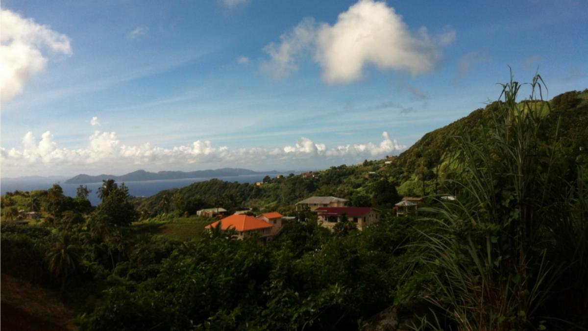 Houses in the Caribbean surrounded by greenery with the ocean and an island in the background.