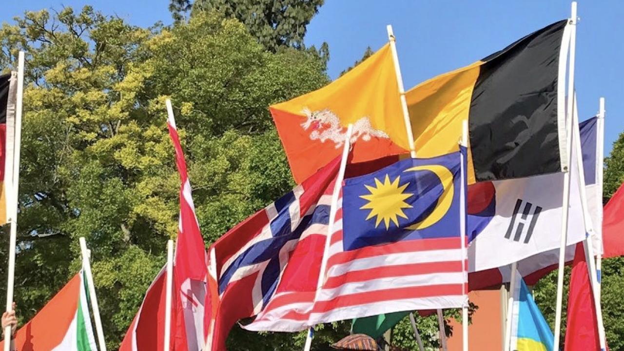 Flags waving