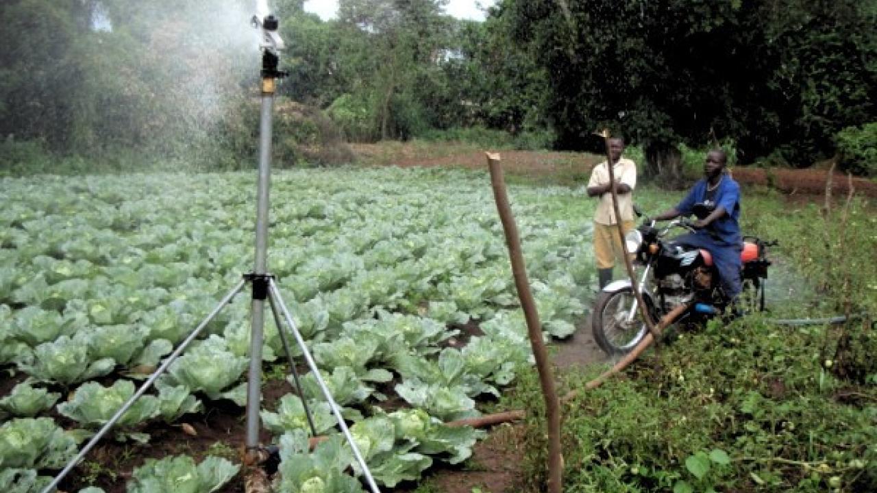 An Agriworks irrigation system at work. / Agriworks An Agriworks irrigation system at work. / Agriworks