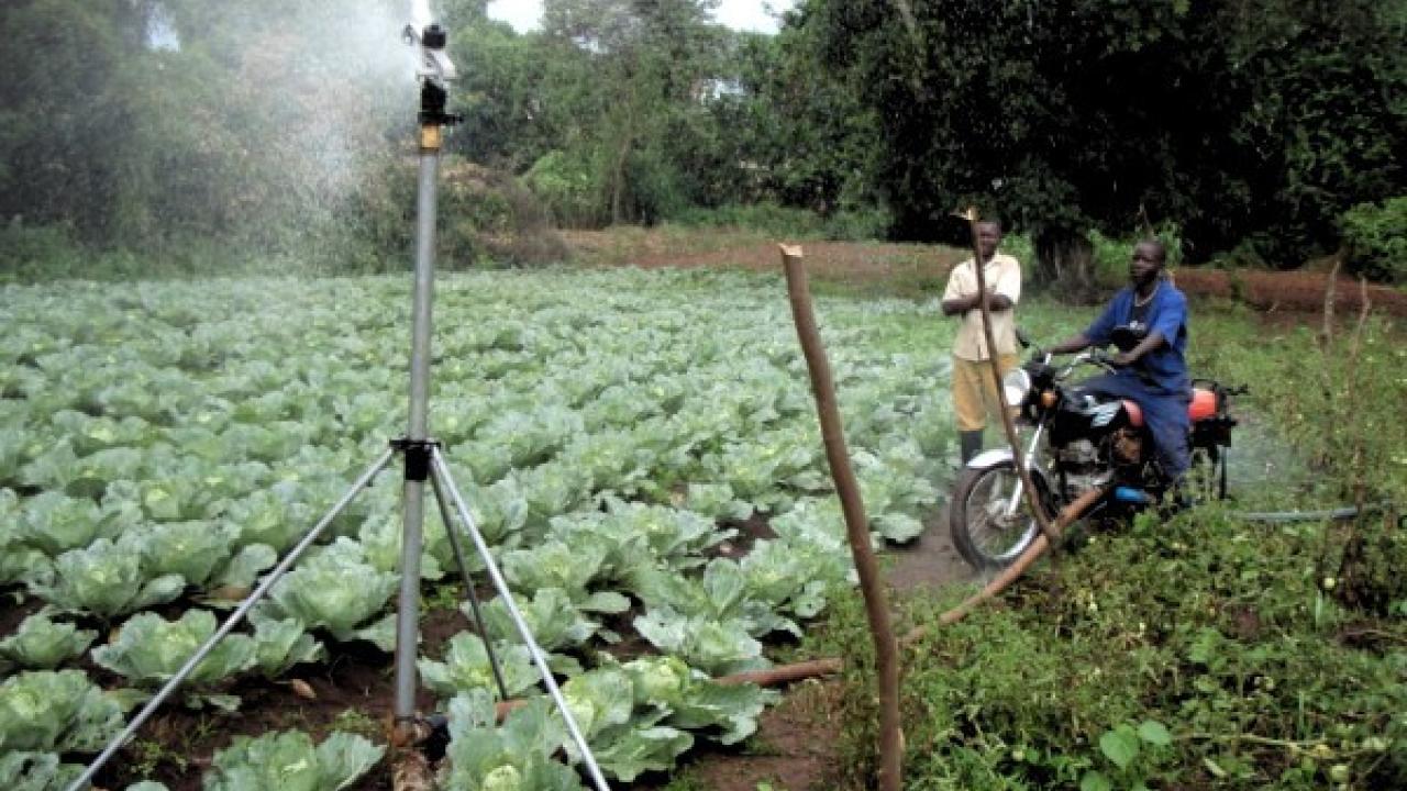 An Agriworks irrigation system at work. / Agriworks