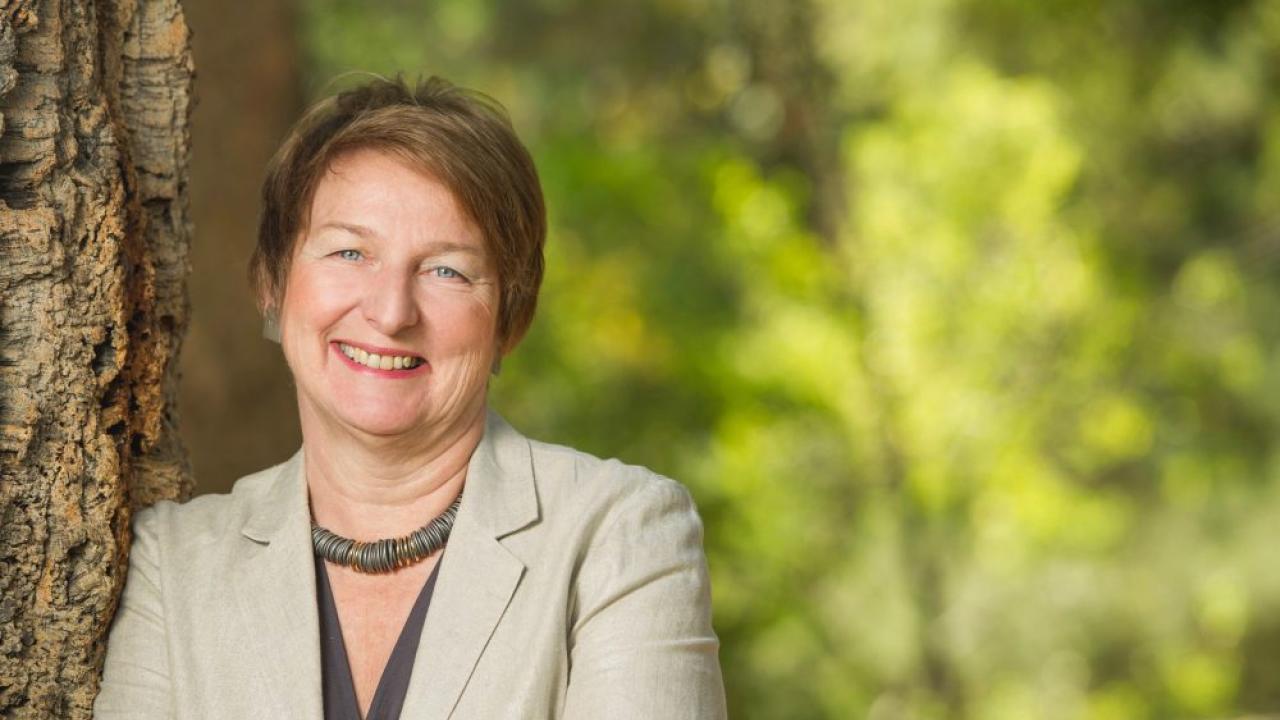 Joanna Regulska: Inaugural recipient of the Senior International Officer Award from the Institute of International Education. Joanna Regulska: Inaugural recipient of the Senior International Officer Award from the Institute of International Education.