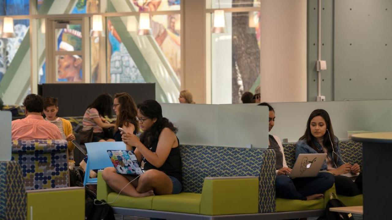 Students studying in the Memorial Union (Gregory Urquiaga/UC Davis) Students at UC Davis