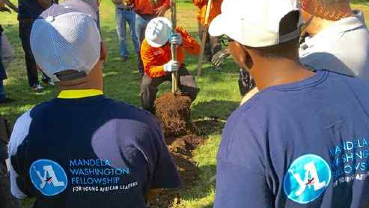 Twenty-five young African leaders witness a tree planting demonstration in Crawford Park on Thursday as part of the Mandela Washington Fellowship. Jim Smith — Daily Democrat young-African-leaders