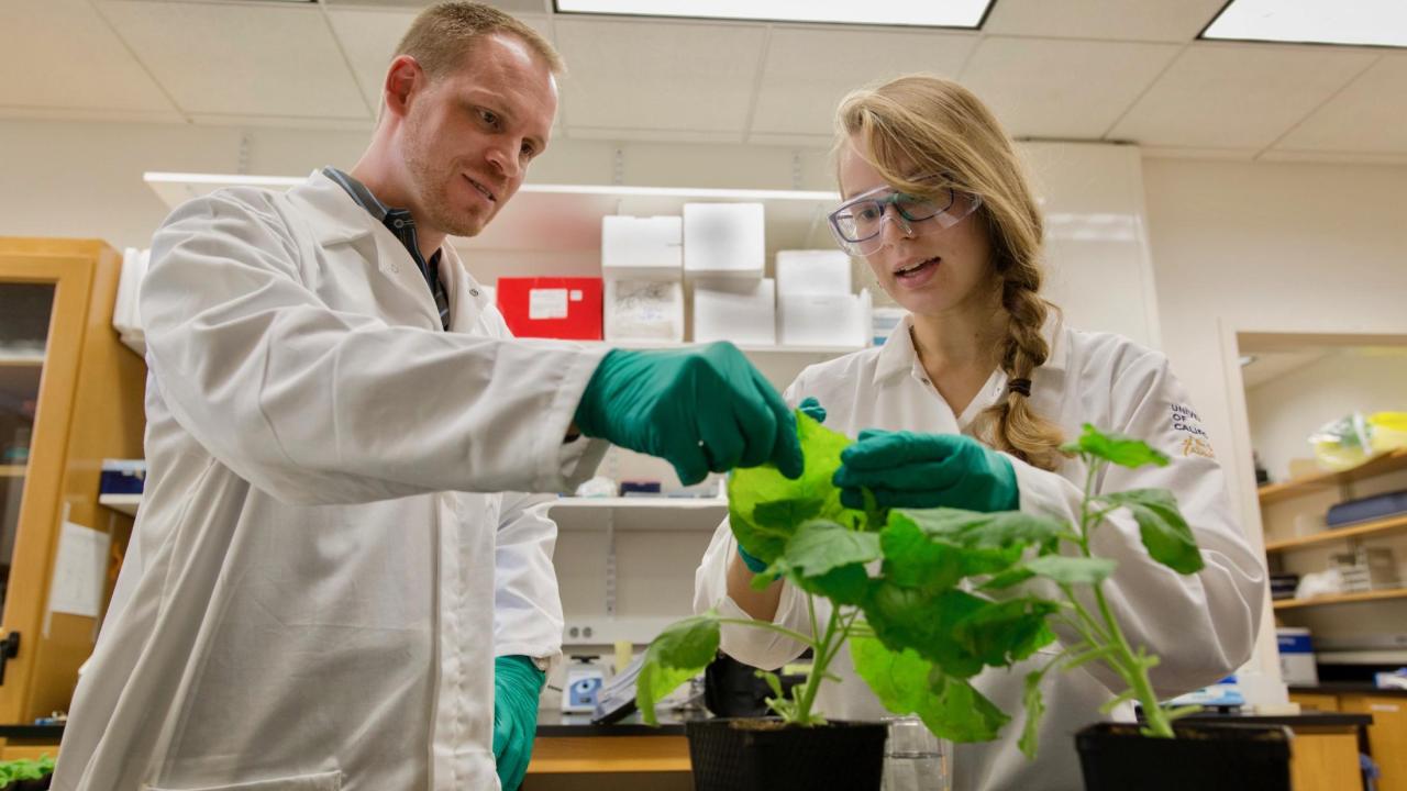 Two scientists in lab coats, goggles and green gloves examine a potted plant