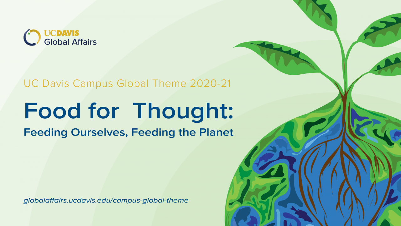 Campus Global Theme icon