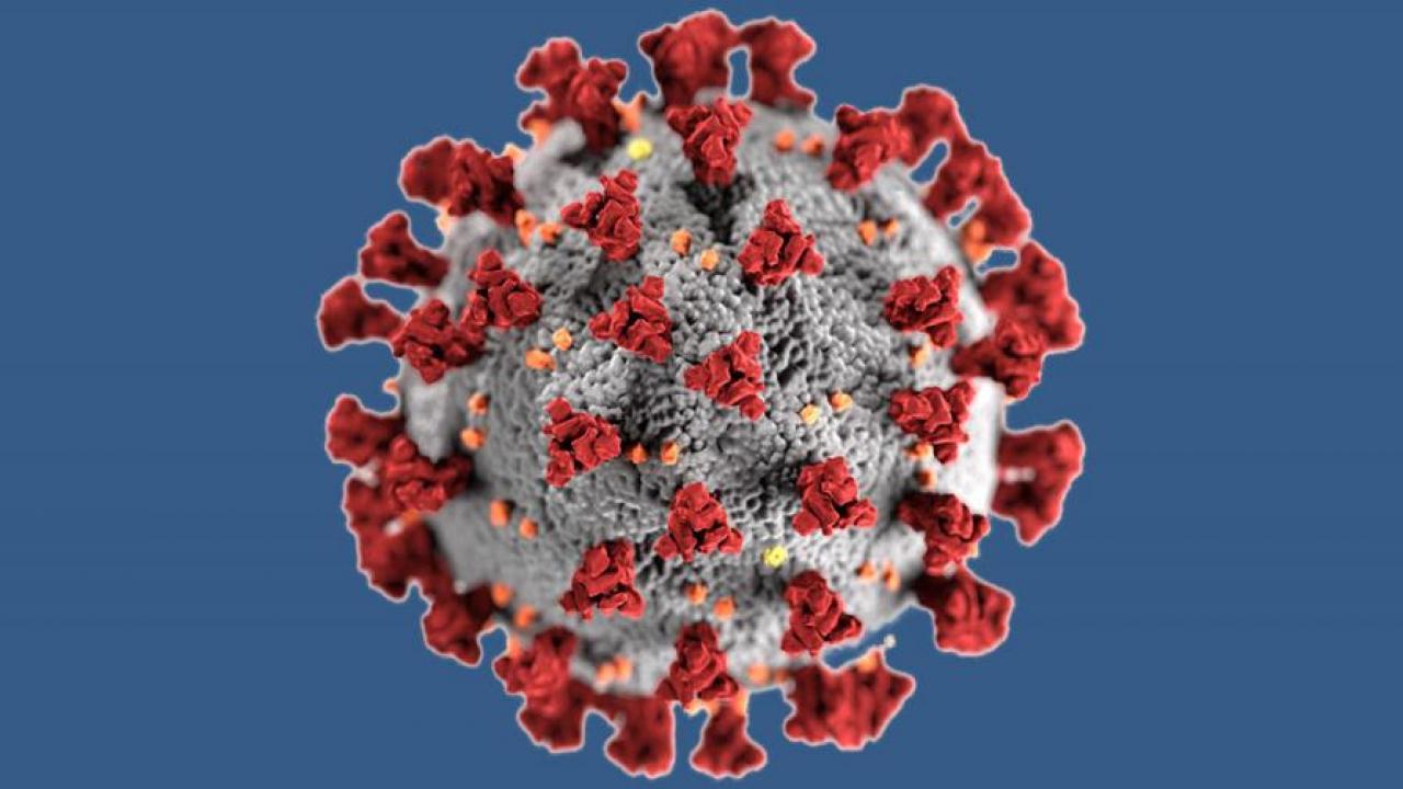 UC Davis experts and others will participate in a public awareness symposium on the novel coronavirus, Thursday, April 23.