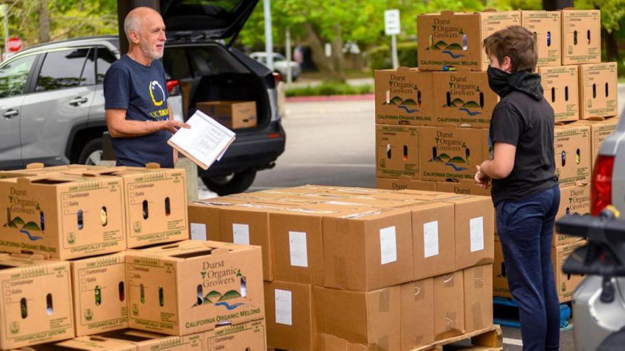 Robb Davis, left, has taken a leave of absence from Global Affairs to oversee the Yolo Food Bank’s coronavirus response. He’s coordinating food delivery, like this distribution at Davis High School.  Credit: Karin Higgins/UC Davis