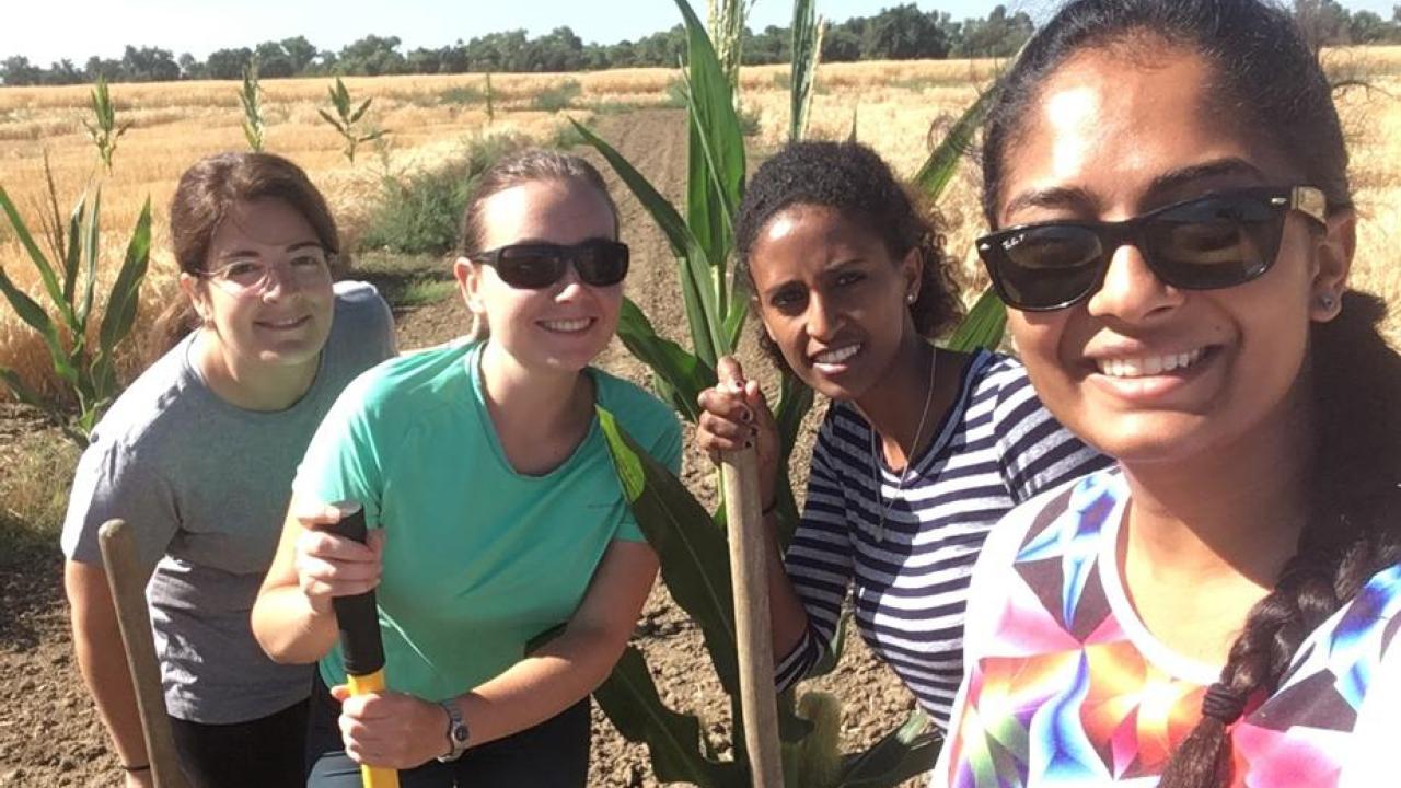 Members of the Brady lab, in the field, from left: Mona Gouran, graduate student; Dorota Kawa, postdoc; Sara Gebremeskel; and Niba Nirmal, undergraduate researcher. members-of-brady-lab