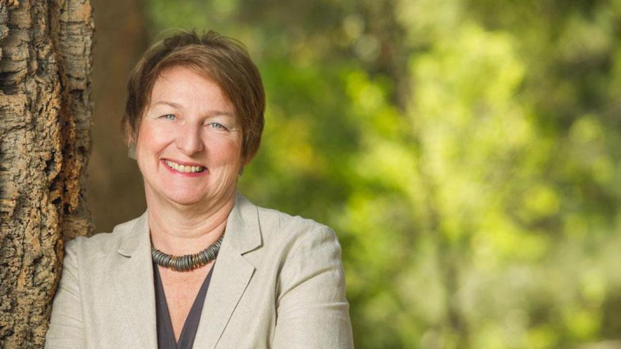 Joanna Regulska: Inaugural recipient of the Senior International Officer Award from the Institute of International Education. Regulska headshot