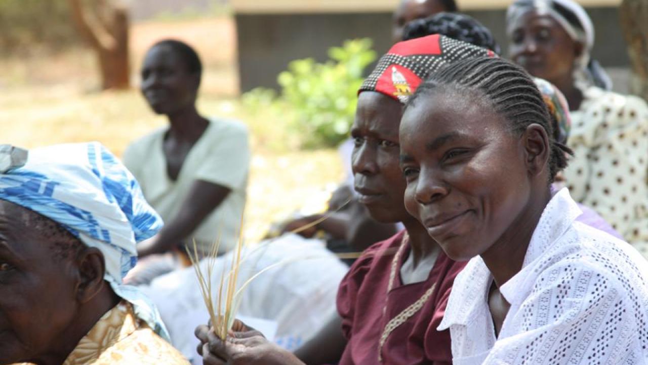 In western Kenya, a UC Davis research team explains the benefits of more productive maize seeds to small-scale farming families. (Emilia Tjernstrom) In western Kenya, a UC Davis research team explains the benefits of more productive maize seeds to small-scale farming families.