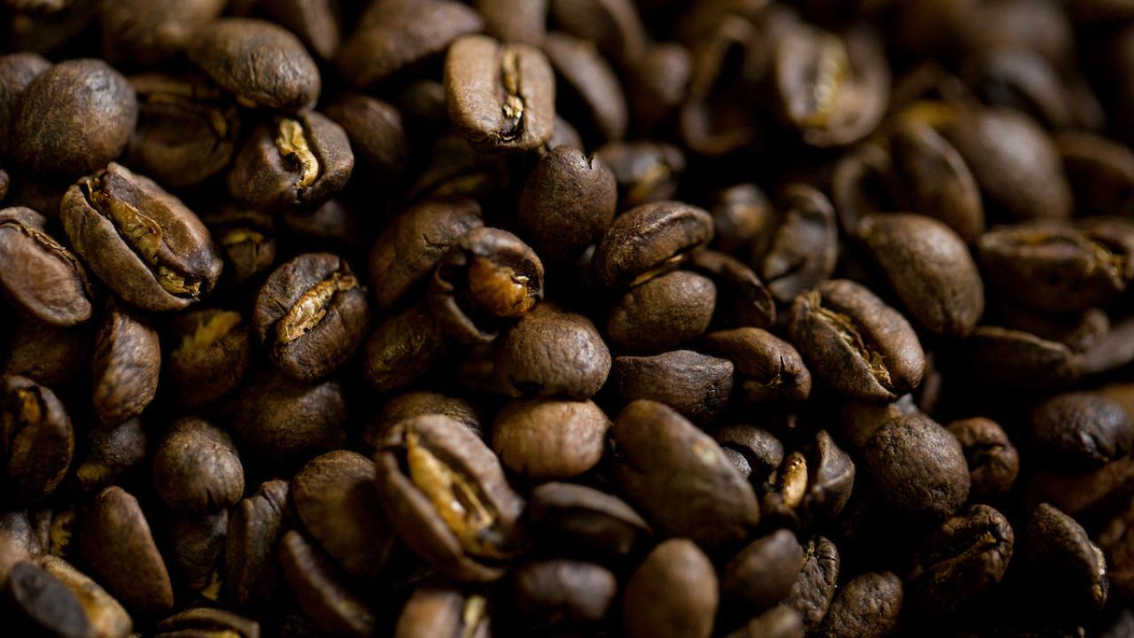 coffee bean