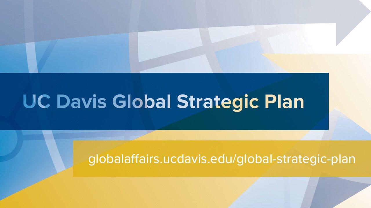 Global Strategic Plan graphic