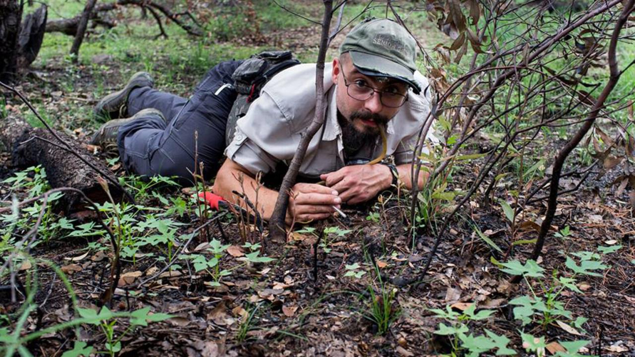 Brendon in fieldwork