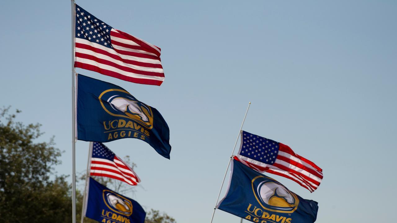 Flags representing the United States of America and the UC Davis Aggeis blow in the wind