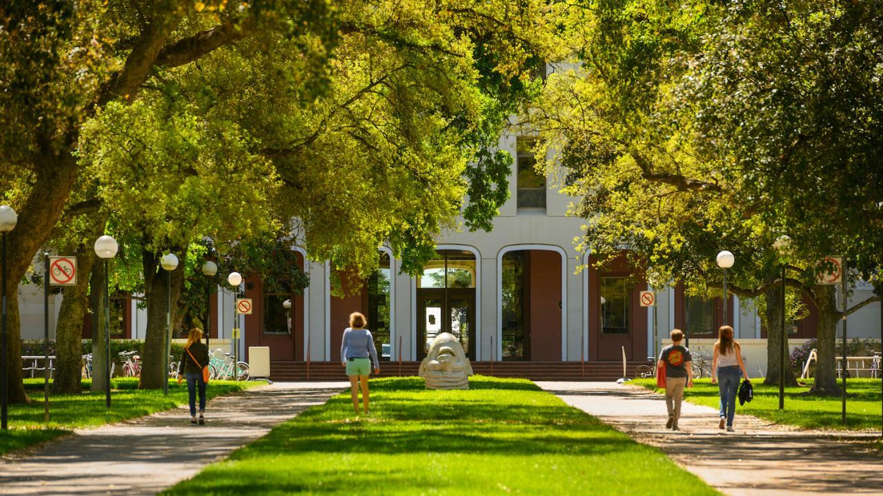 People walking on UC Davis campus