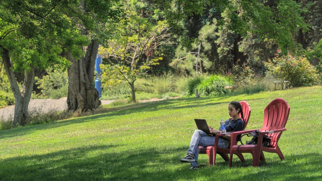 Person on a red chair under large tree on a grassy lawn, using laptop.