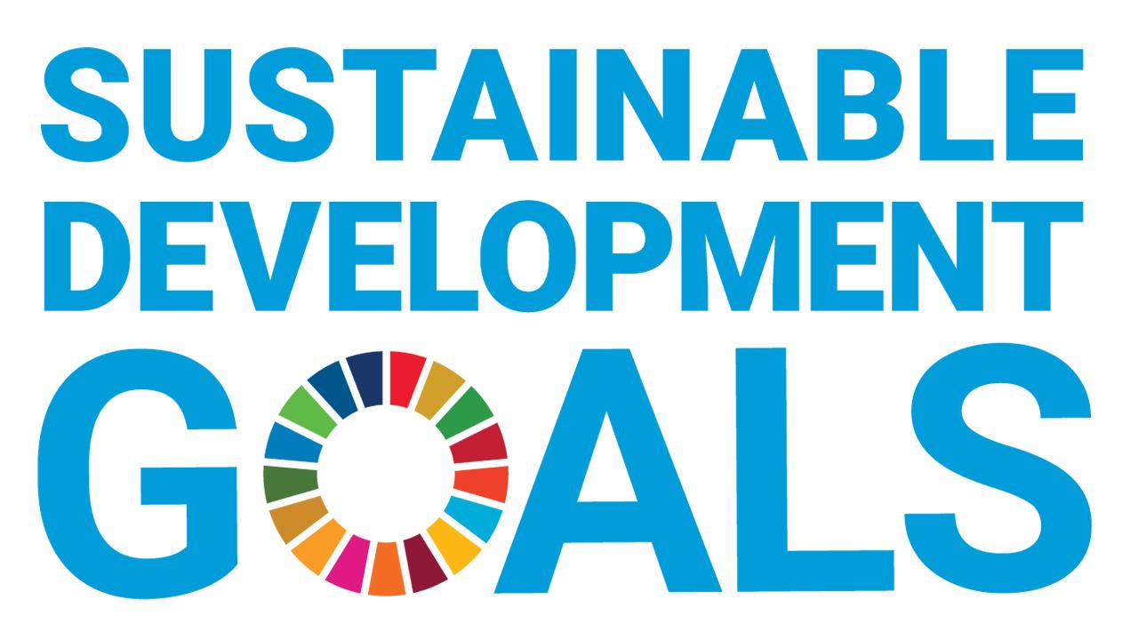 In blue with a multi-colored wheel as the O in the word GOALS, the graphic reads: Sustainable Development Goals.