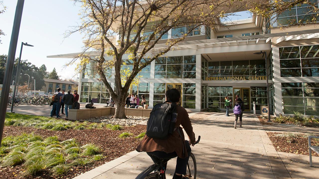 A student wearing a brown coat and a black backpack rides his bike on the path toward the International Center, in the background. The leaves on two trees near the entrance have turned yellow in the fall season. Two groups of students (four men and four women) gather and talk on the left side of the path. A female student wearing a purple backpack, black coat, blue jeans, and gray boots walks toward the building closer to the door. Two students stand outside the door in the distance talking to each other.