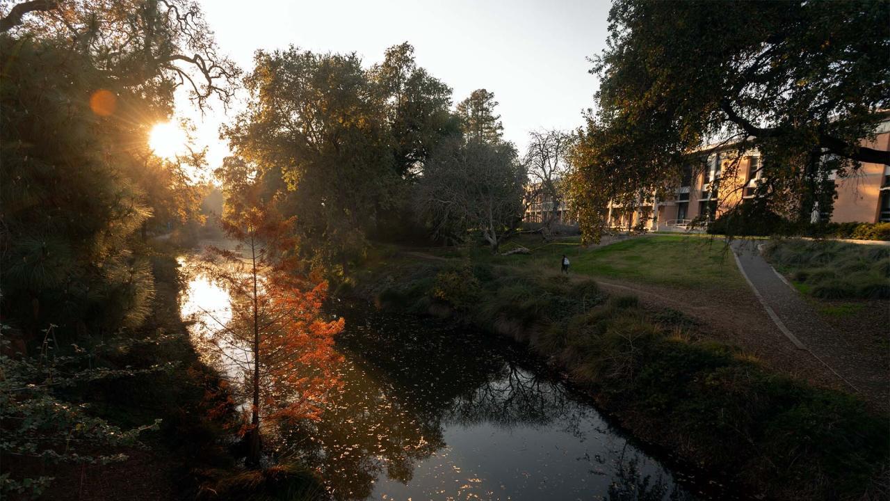 Photo of the arboretum at sunset