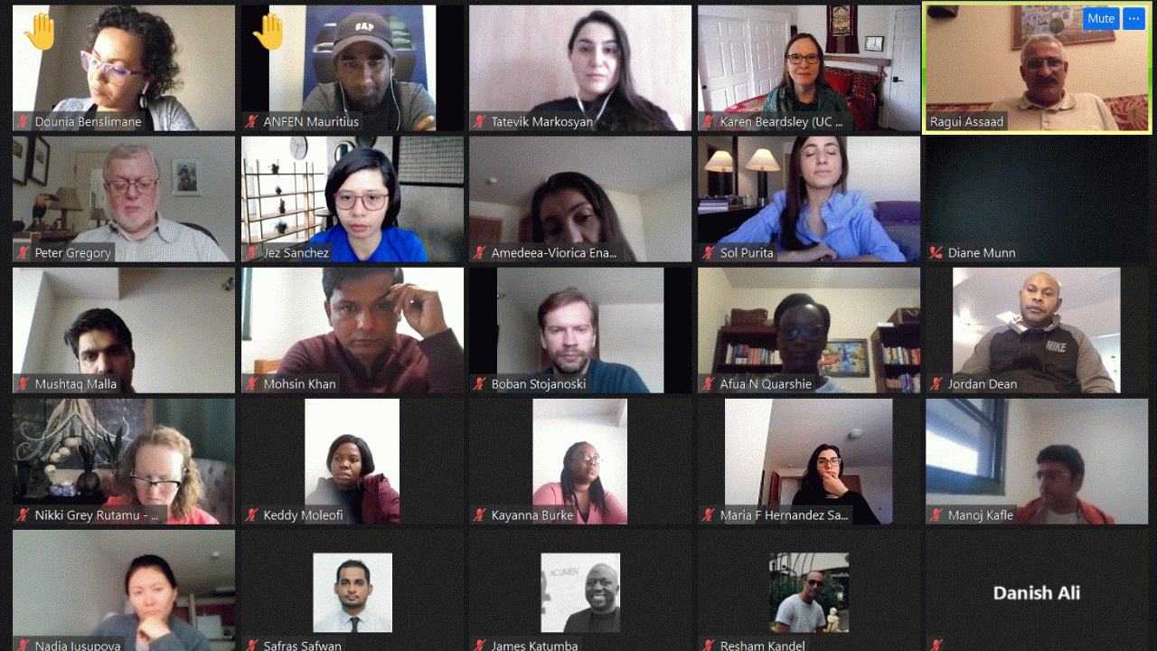 Zoom call with Humphrey fellows