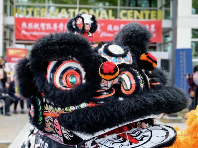 Lion Dancer at International Center