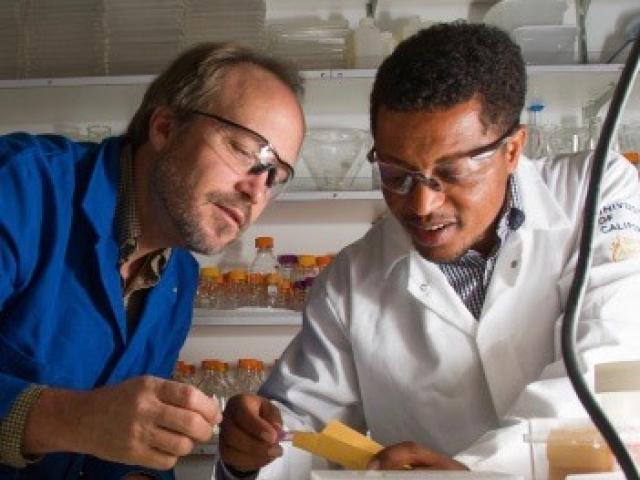 Two UC Davis scientists working in a lab.