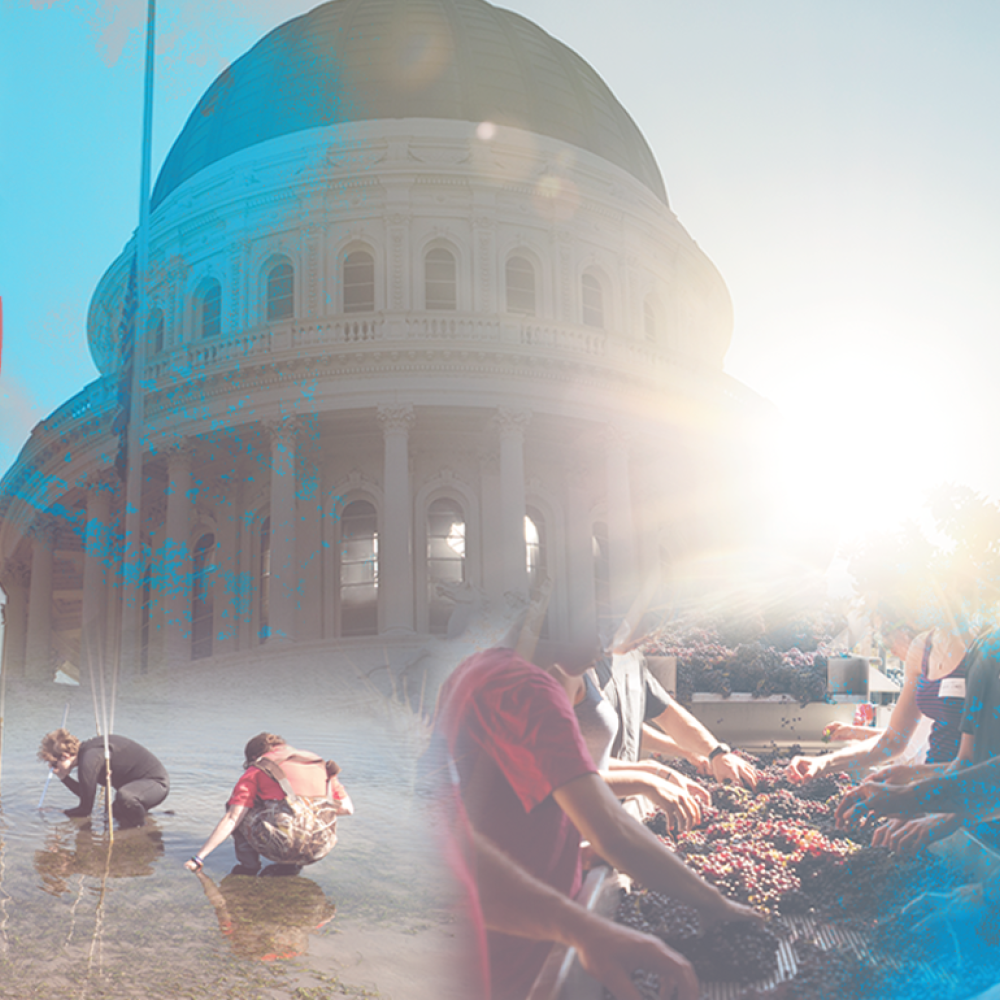 SDG color wheel with collage image of capitol building, water, wheat and flags
