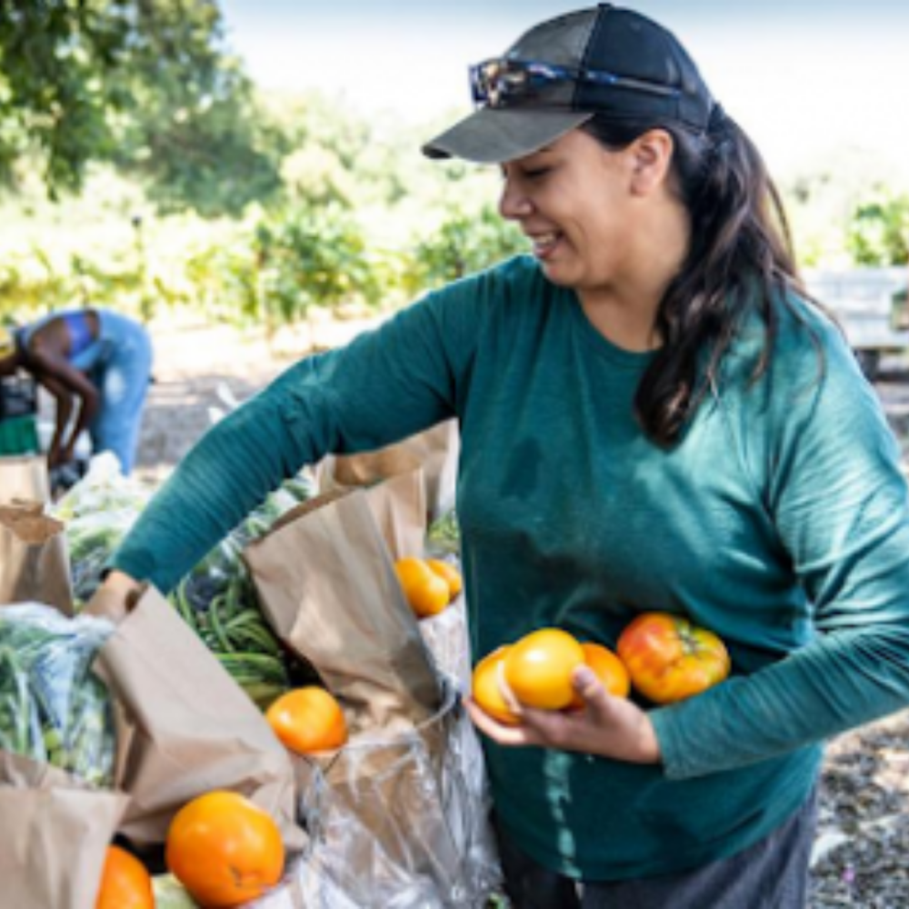 Student packing produce
