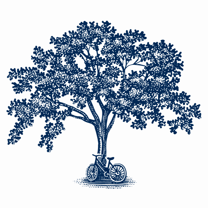 Illustration of an oak tree with a bike leaning against it