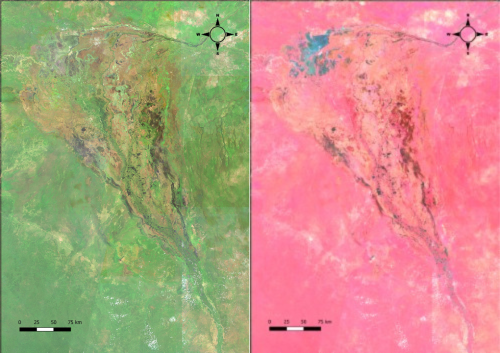 2 satellite photo (real colors, false colors) of the Sudd wetlands in South Sudan, dated Summer 2023, from the satellite Sentinel-2.