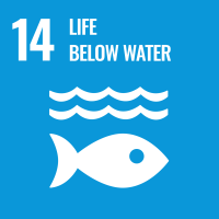 On a medium blue background is the image of a fish with two wavy lines above it to indicate water. Above the image is the number 14 and the words "Life Below Water"