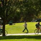 Park scene with cyclists and pedestrians on a sunlit grassy hill under trees