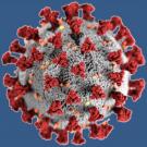UC Davis experts and others will participate in a public awareness symposium on the novel coronavirus, Thursday, April 23.