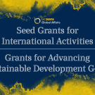 Seed Grants