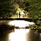 student walks on bridge in Arboretum