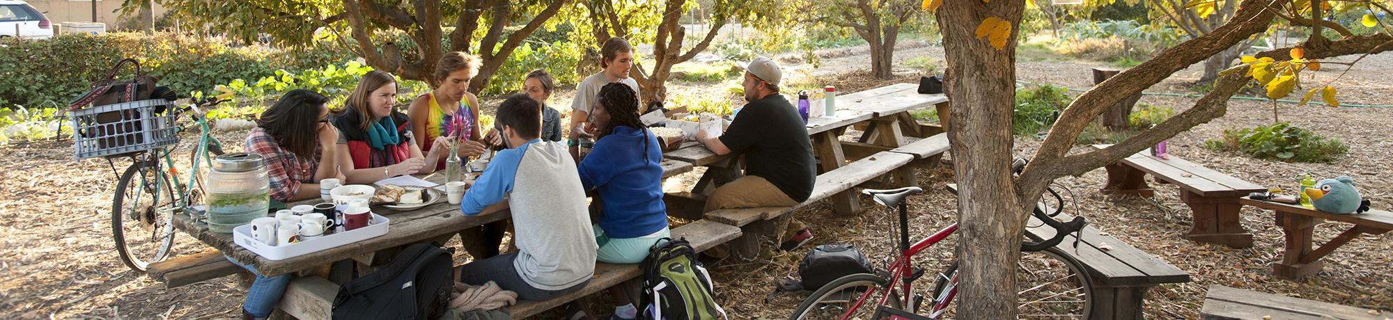 Students sitting outside at a picnic table